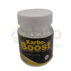 Green Planet Karbo Boost 30g