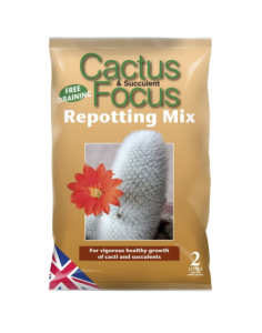 GT Cactus Focus Repotting Mix 3L