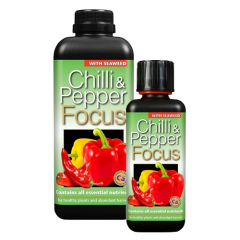 GT Chilli + Pepper Focus
