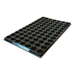 Support Tray for Coco Peat Plugs x 84