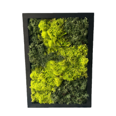 Rectangle Moss Frame For Wall 24cm