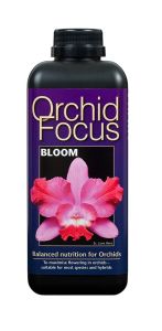 GT Orchid Focus Bloom 300ml