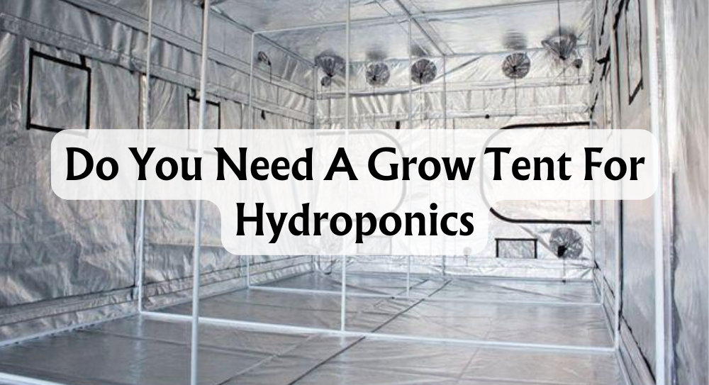 Do You Need a Grow Tent for Hydroponics: Perfecting Indoor Grow