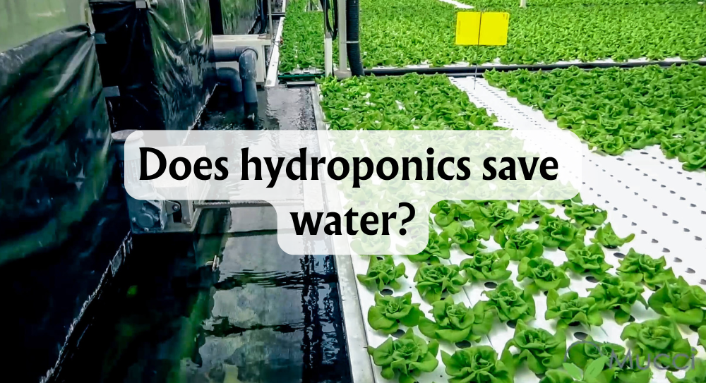 does-hydroponics-save-water