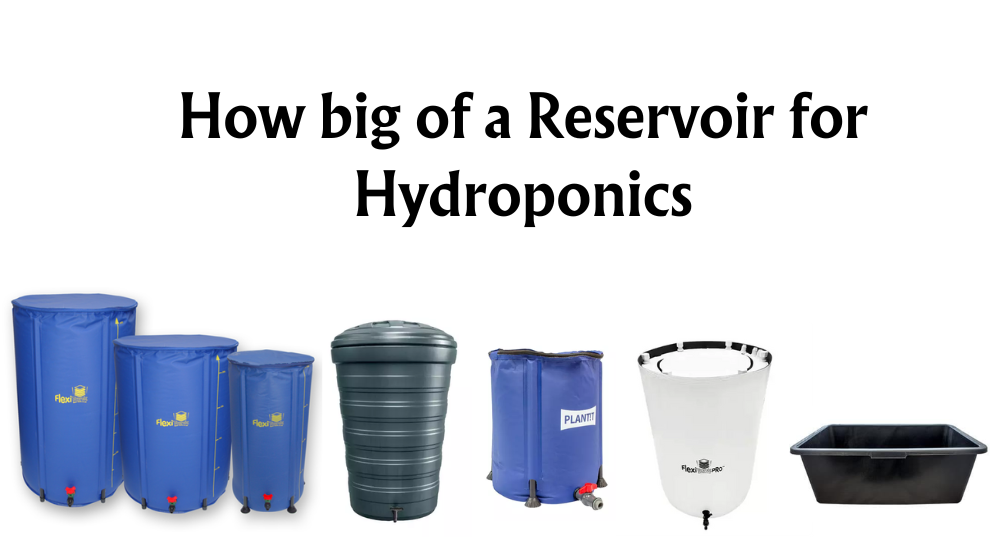 how-big-of-a-reservoir-for-hydroponics-tips-and-guidelines