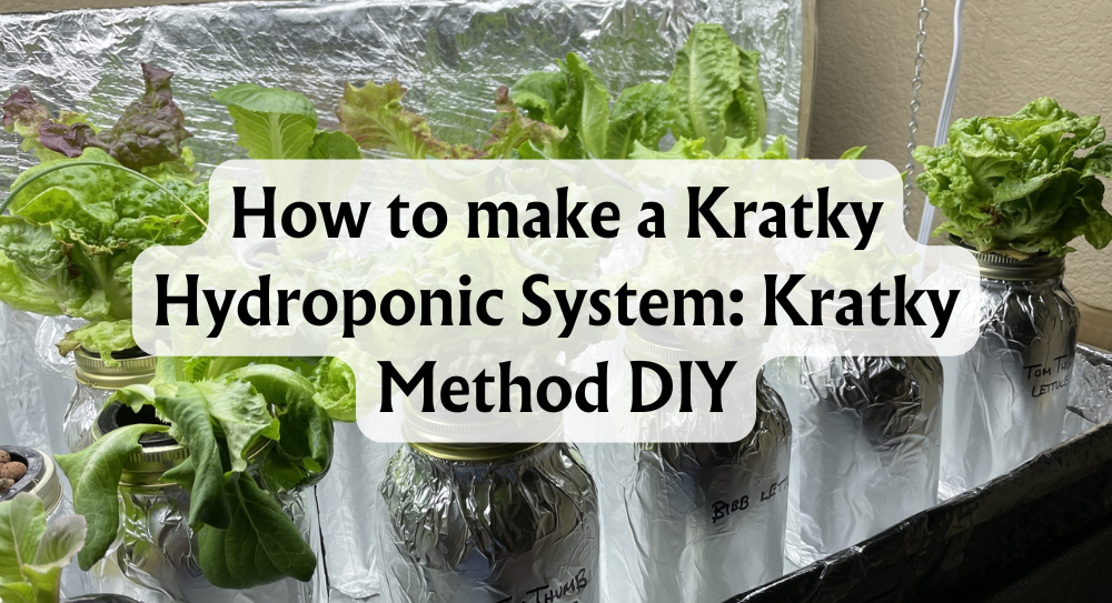 DIY Kratky Hydroponic Systems Shelf