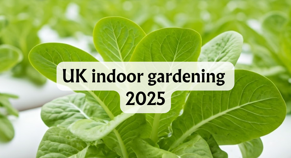 UK Indoor Gardening 2025