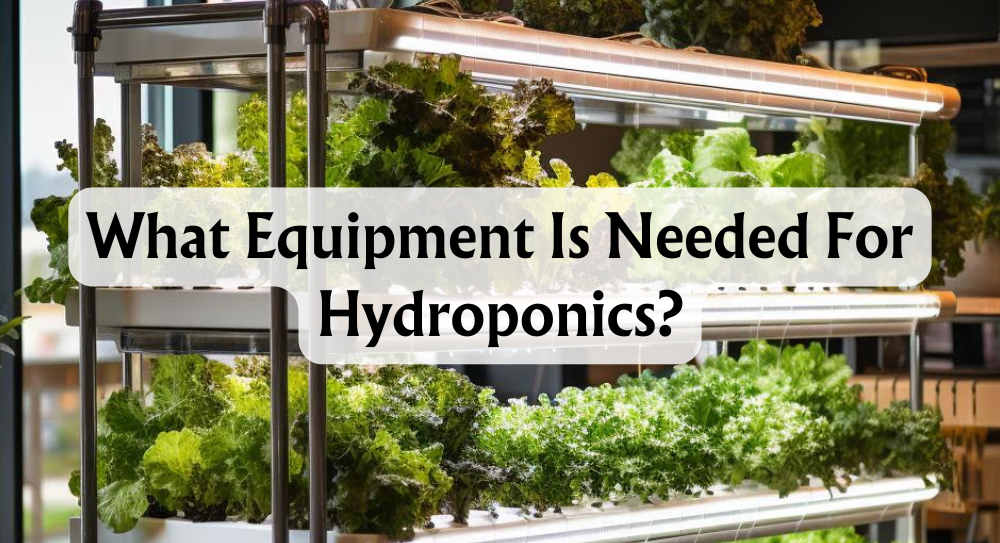 what-equipment-is-needed-for-hydroponics