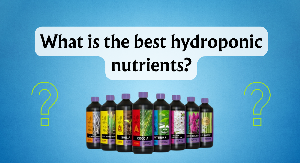 what-is-the-best-hydroponic-fertiliser?