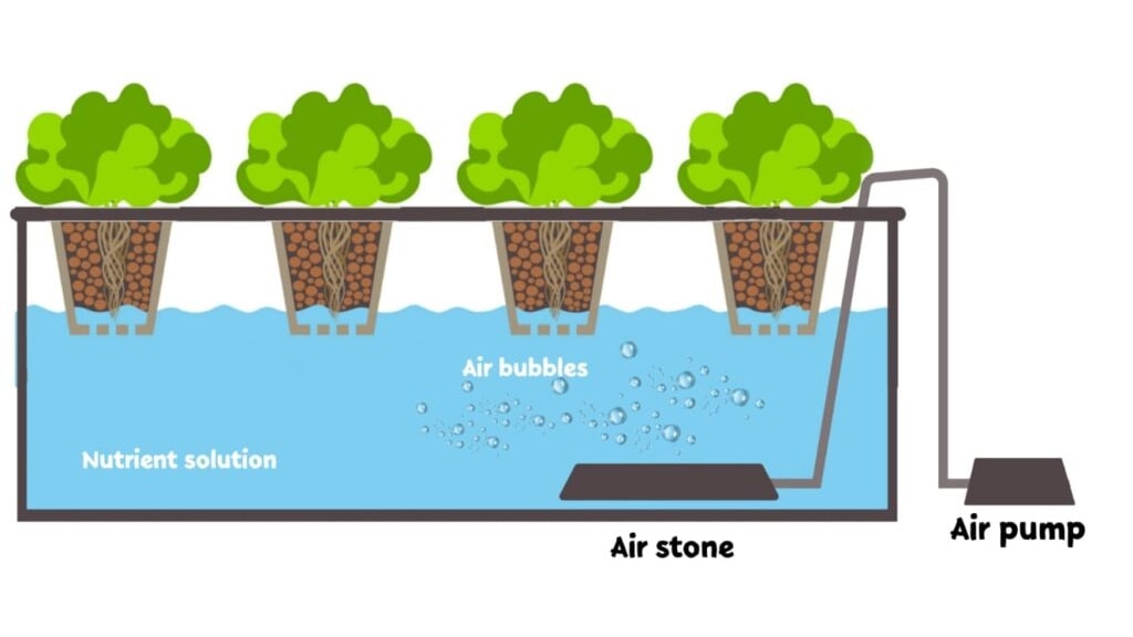 air stone hydroponic system diagram