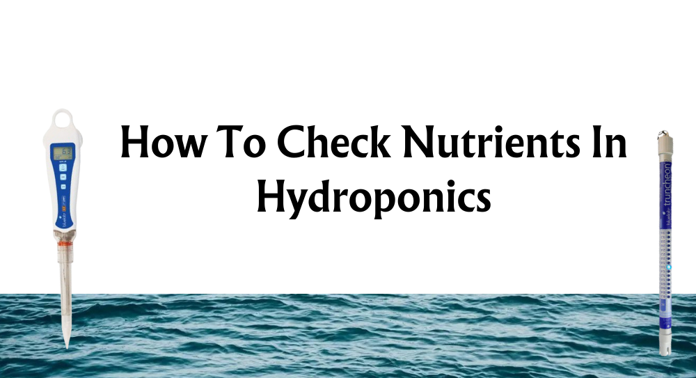 check nutrient solution in hydroponics ph pens water