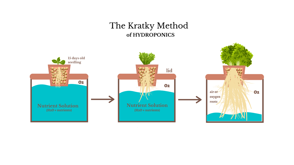 kratky method diagram 