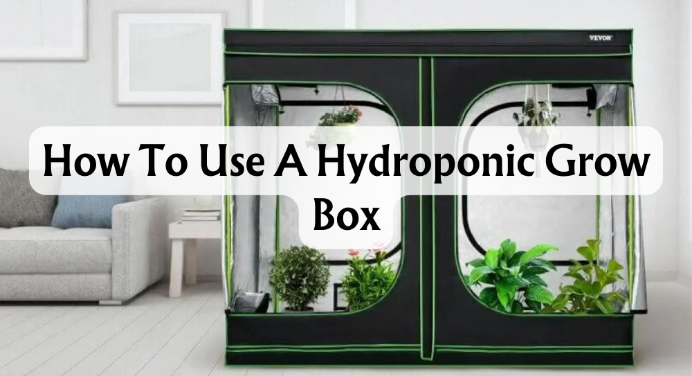 Hydroponic Grow Box Indoor Placement Photo