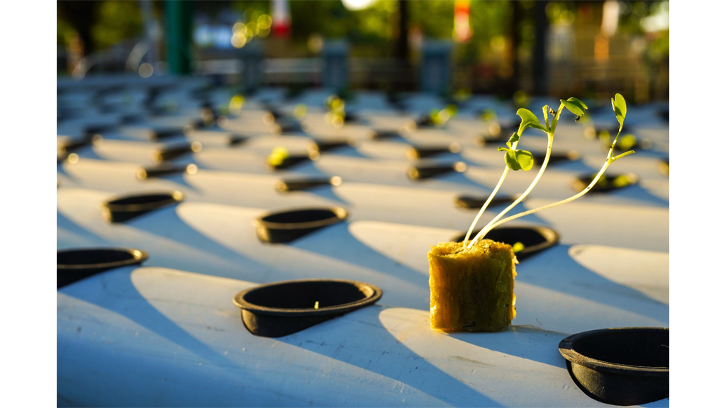 single cube on top of hydroponic piping