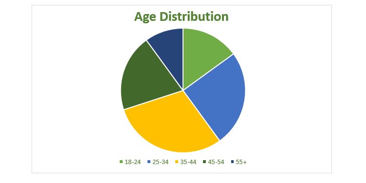 age pie chart